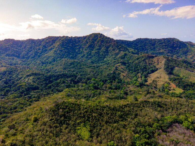 Finca en Venta en Buena Vista Colón Panamá | $990,000 | MLS# 17270