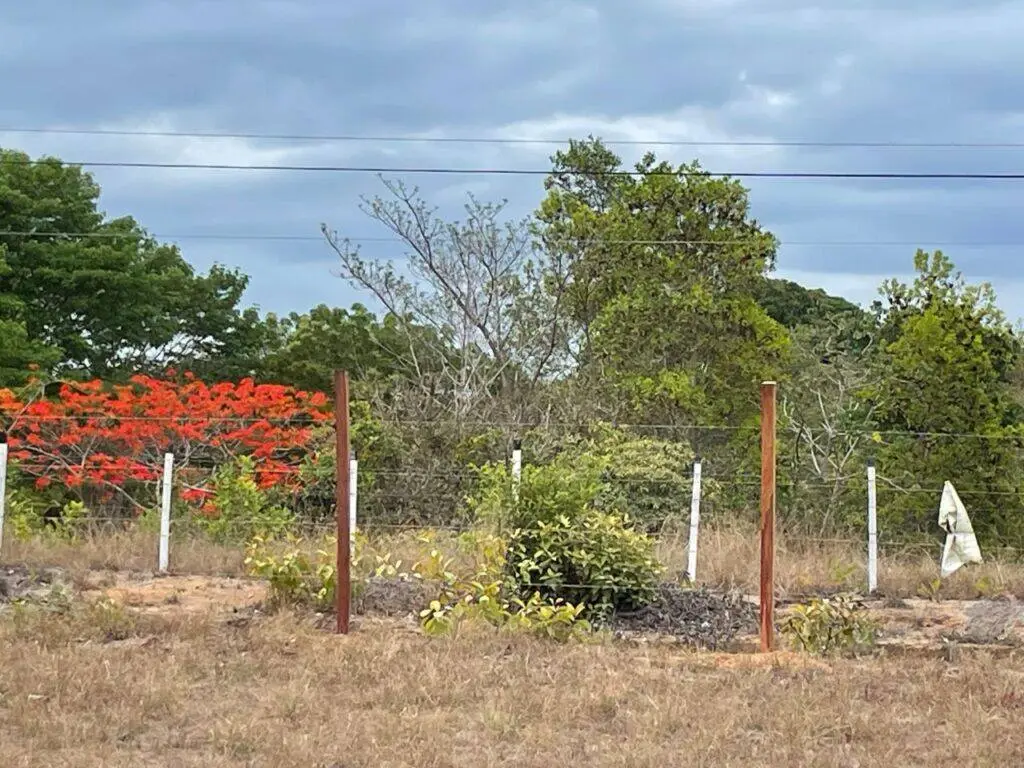 Terreno en Venta en Río Hato Coclé Panamá | $295,000 | MLS# 17906