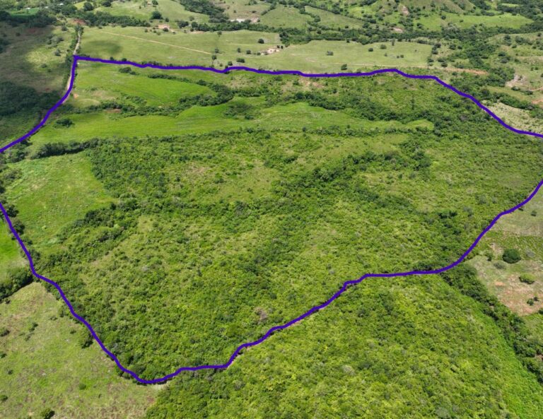 Finca en Venta en Llano Grande Herrera Panamá | $125,000 | MLS# 18739