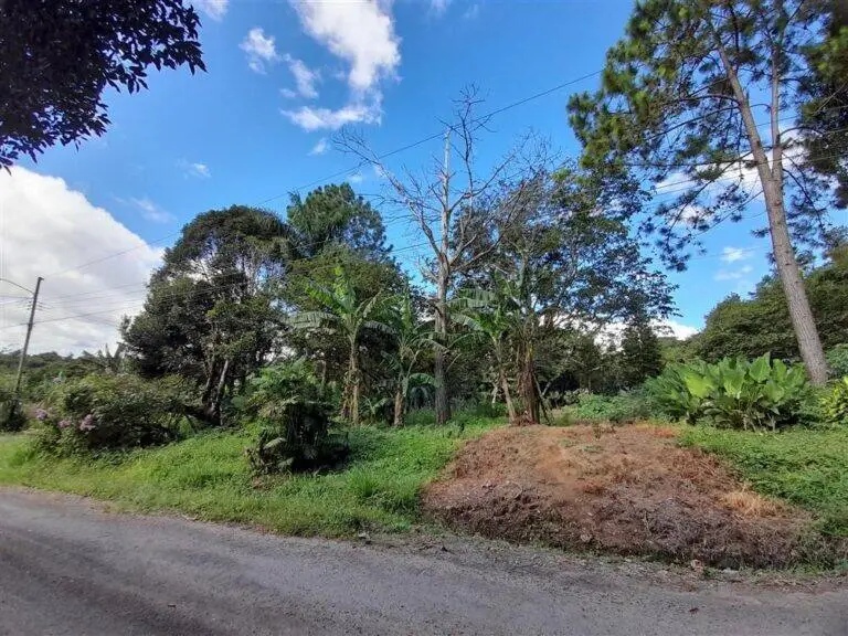 Terreno en Venta en Palmira Chiriqui Panamá | $59,000 | MLS# 19020