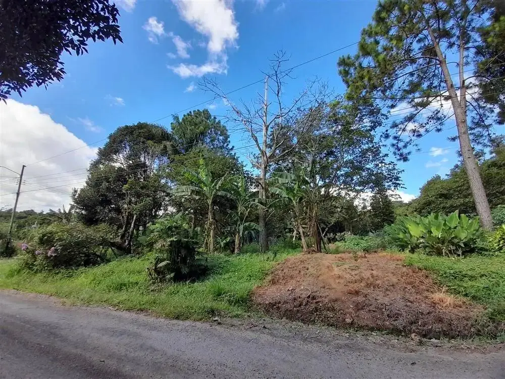 Terreno en Venta en Palmira Chiriqui Panamá | $59,000 | MLS# 19020