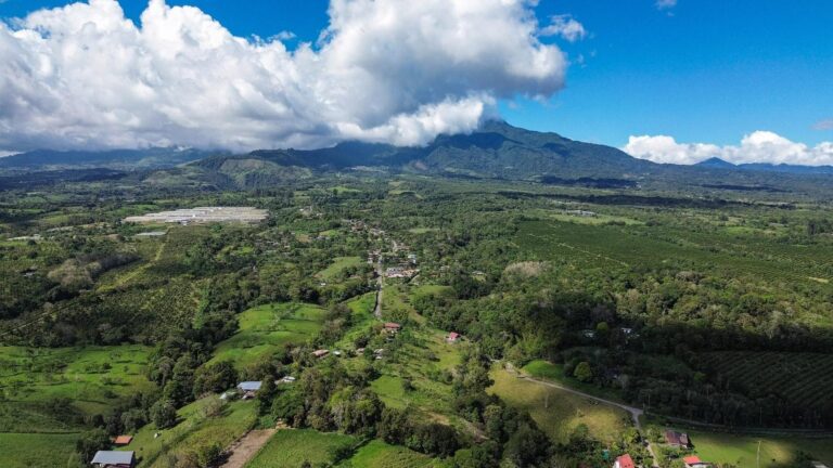 Terreno en Venta en Potrerillos Chiriqui Panamá | $167,000 | MLS# 19868