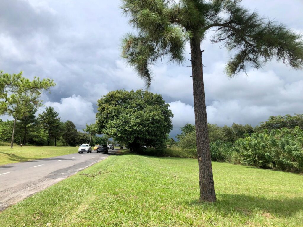 Terreno en Venta en Nueva Gorgona Panamá Oeste Panamá | $65,000 | MLS# 20005