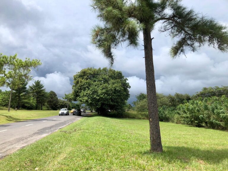 Terreno en Venta en Nueva Gorgona Panamá Oeste Panamá | $65,000 | MLS# 20005
