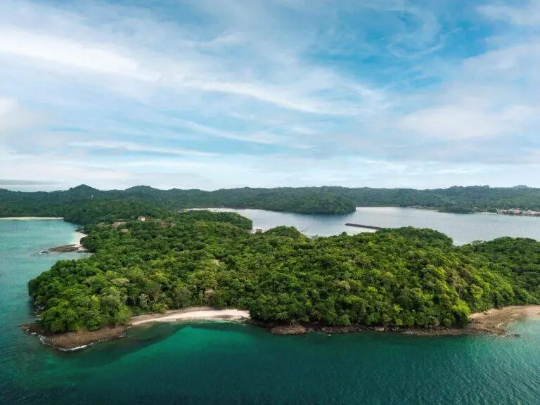 Terreno en Venta en Pedro González Panamá Panamá | $2,000,000 | MLS# 20535