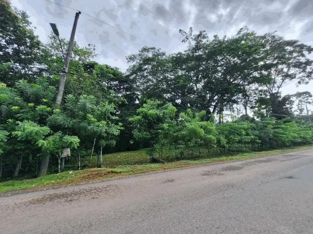 Finca en Venta en Limón Colón Panamá | $125,000 | MLS# 20756