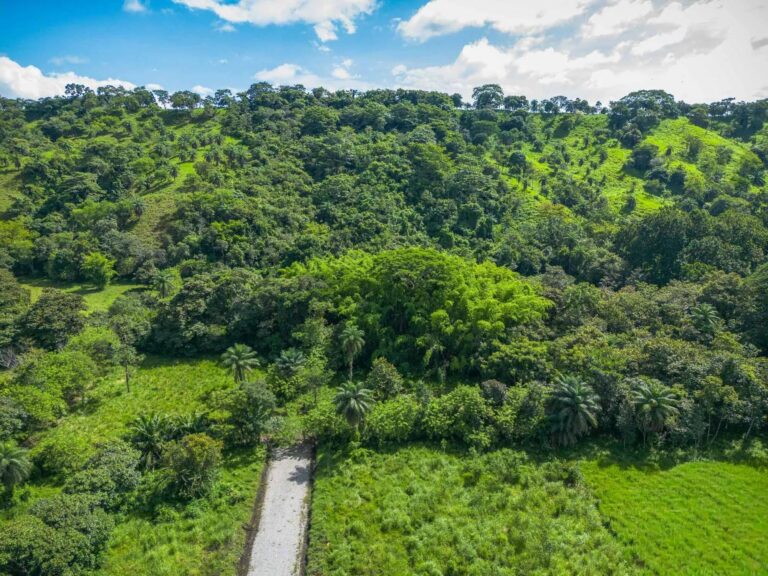 Finca en Venta en Guacá Chiriqui Panamá | $165,000 | MLS# 20776