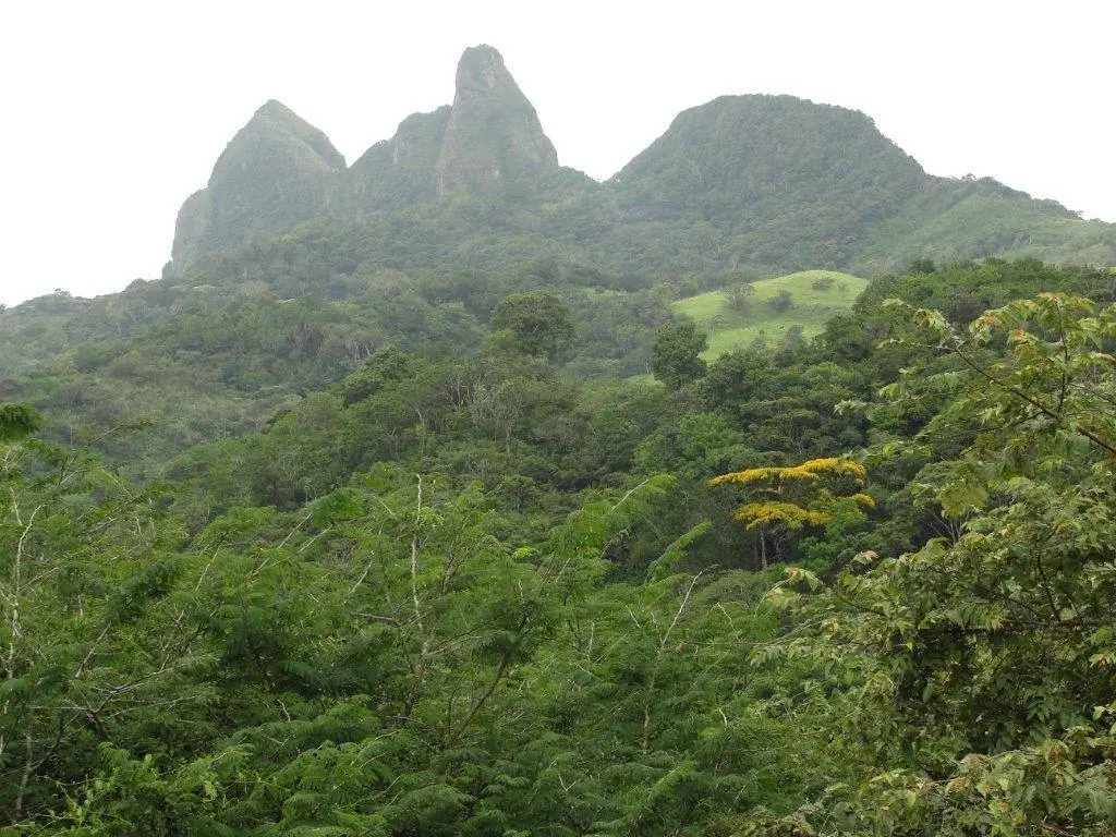 Finca en Venta en San Carlos Panamá Oeste Panamá | $145,000 | MLS# 20953