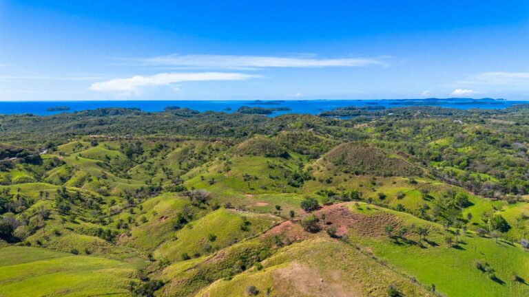 Finca en Venta en San Lorenzo Chiriqui Panamá | $85,000 | MLS# 20985