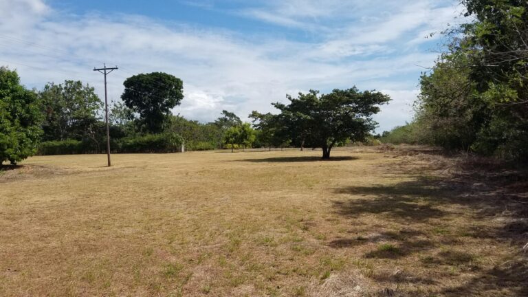 Terreno en Venta en Río Hato Coclé Panamá | $110,000 | MLS# 21280