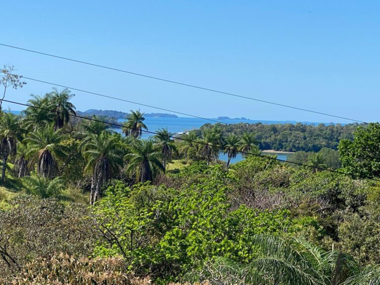 Terreno en Venta en Boca Chica Chiriqui Panamá | $110,000 | MLS# 21414
