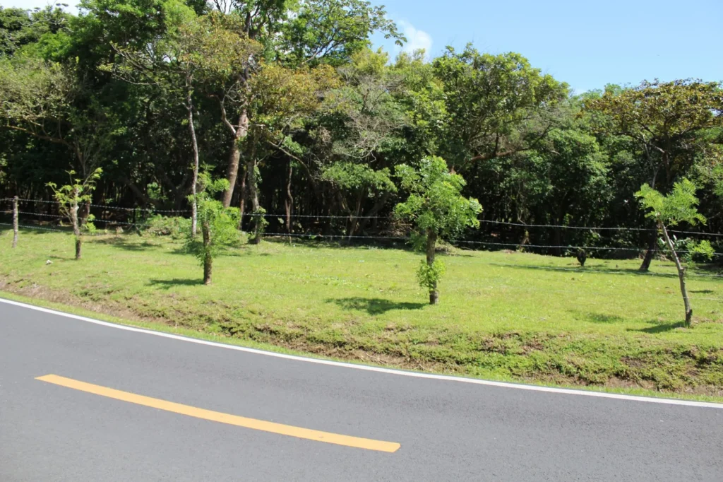 Terreno en Venta en El Valle Coclé Panamá | $169,819 | MLS# 21610