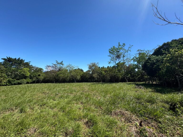 Terreno en Venta en Potrerillos Abajo Chiriqui Panamá | $60,000 | MLS# 21807