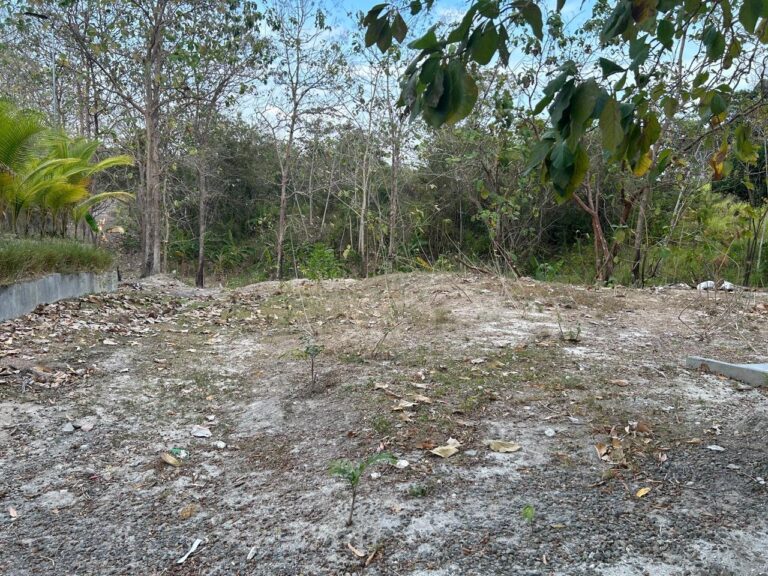 Terreno en Venta en La Ermita Panamá Oeste Panamá | $668,500 | MLS# 22201
