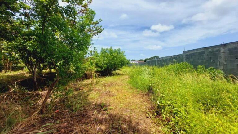 Terreno en Venta en Nueva Gorgona Panamá Oeste Panamá | $158,000 | MLS# 23037