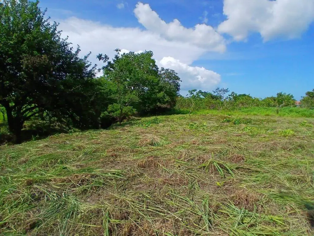 Terreno en Venta en San José Panamá Oeste Panamá | $69,900 | MLS# 23051