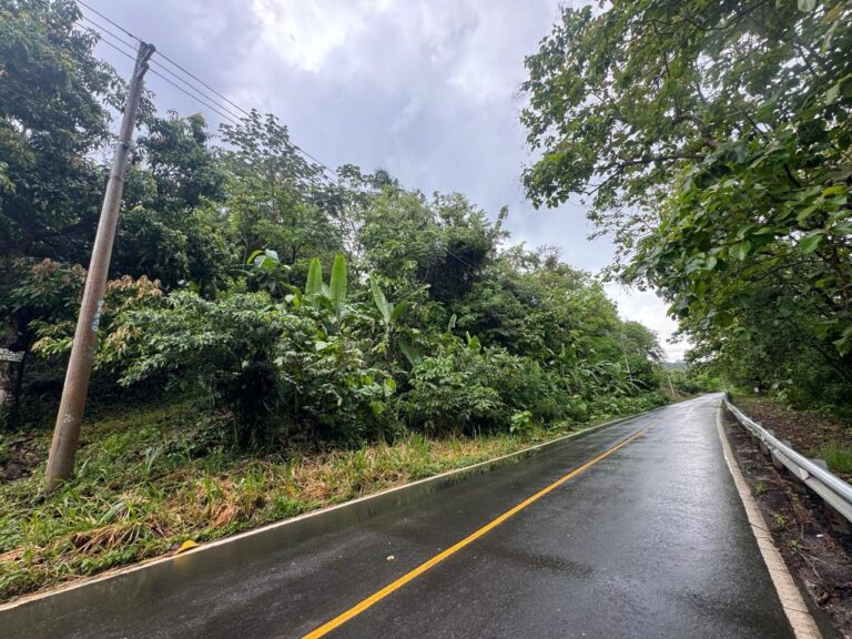 Terreno en Venta en Buenos Aires Panamá Oeste Panamá | $59,000 | MLS# 23121