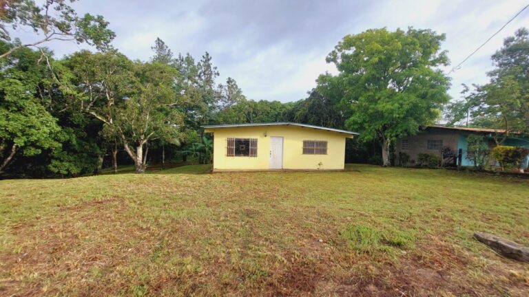 Finca en Venta en Pajonal Coclé Panamá | $97,000 | MLS# 23277
