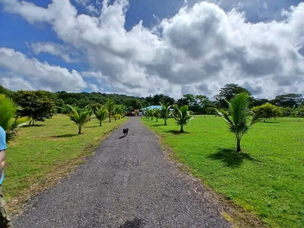 Finca en Venta en Las Lomas Chiriqui Panamá | $350,000 | MLS# 23311