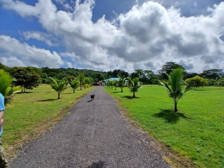 Finca en Venta en Las Lomas Chiriqui Panamá | $350,000 | MLS# 23311