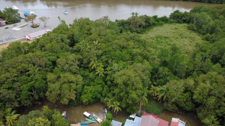 en Venta en Pedregal Chiriqui Panamá | $1,500,000 | MLS# 23355