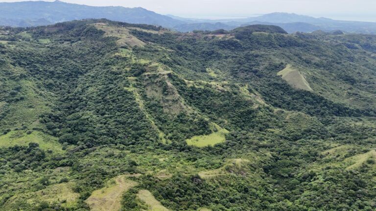 Finca en Venta en La Laguna Panamá Oeste Panamá | $3,835,000 | MLS# 23442