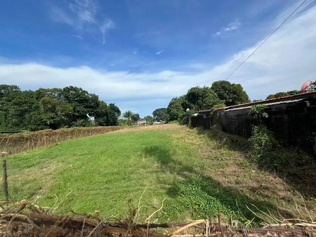Terreno en Venta en Pedregal Panamá Panamá | $350,000 | MLS# 23565