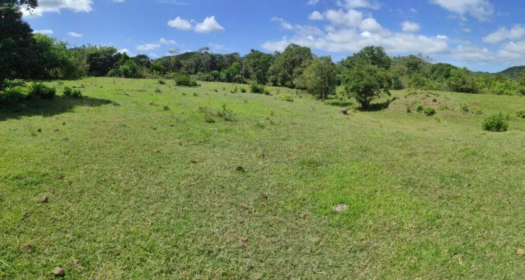 Terreno en Venta en Canto del Llano Veraguas Panamá | $595,000 | MLS# 23587
