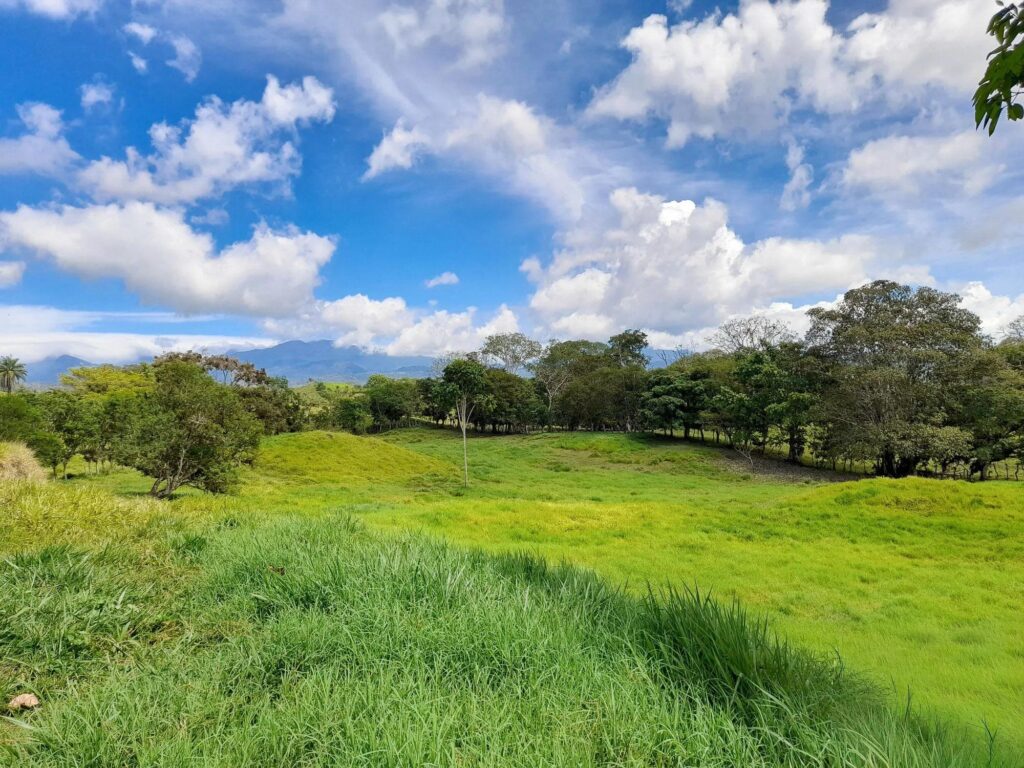 Finca en Venta en Plaza Caisán Chiriqui Panamá | $850,000 | MLS# 23701