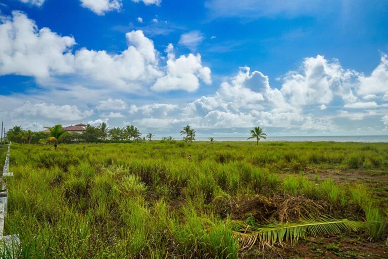 Terreno en Venta en Alanje Chiriqui Panamá | $195,000 | MLS# 23755