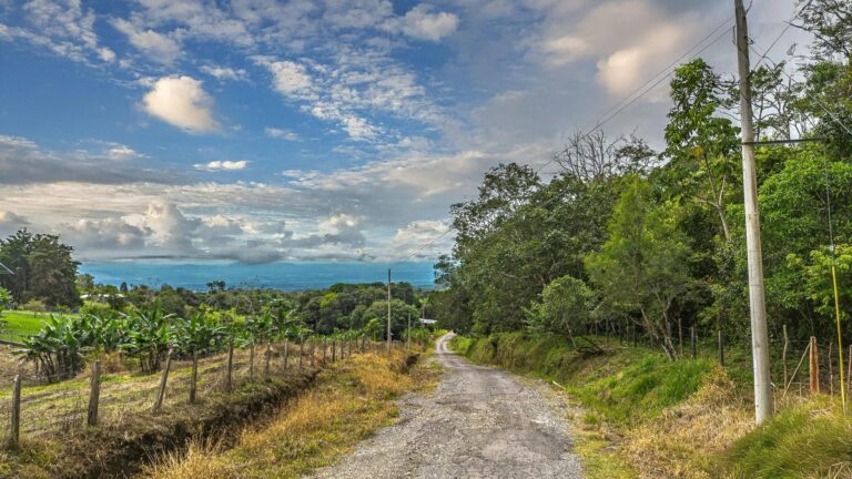 Finca en Venta en Potrerillos Chiriqui Panamá | $530,933 | MLS# 23816