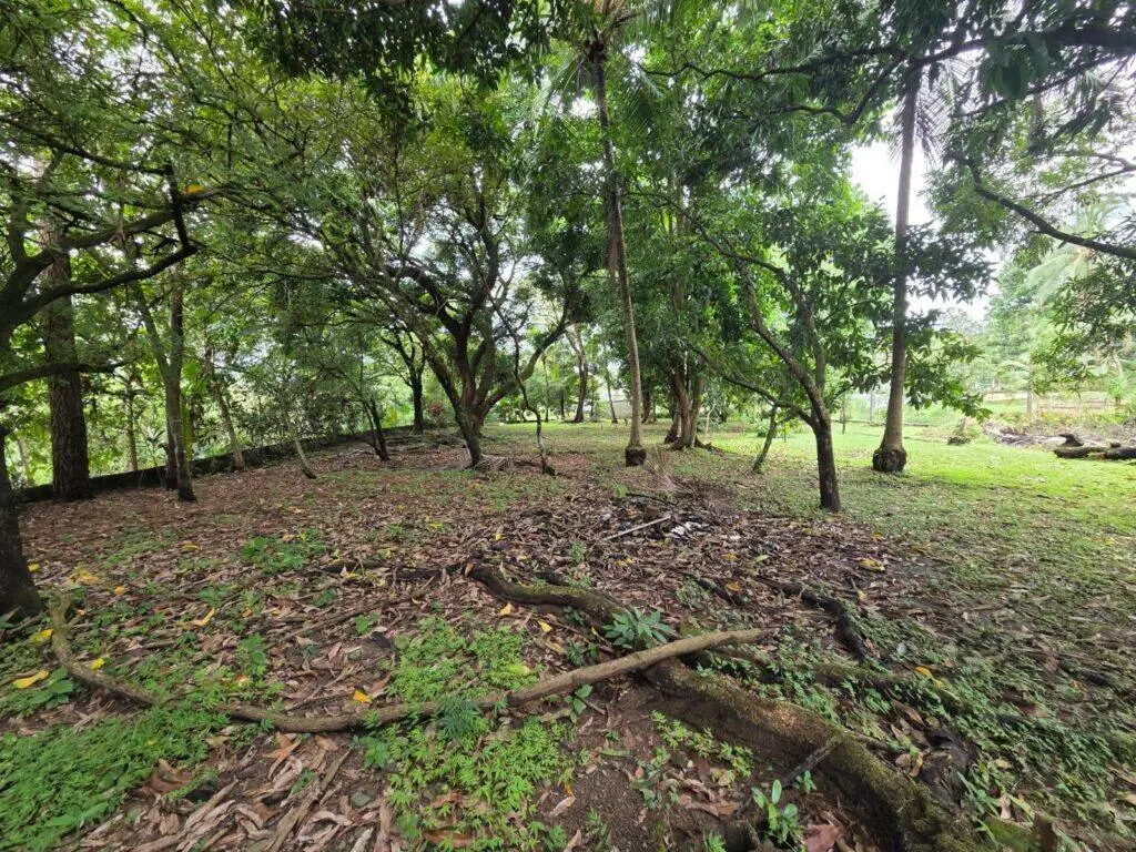 Terreno en Venta en Chepo Panamá Panamá | $200,000 | MLS# 23879