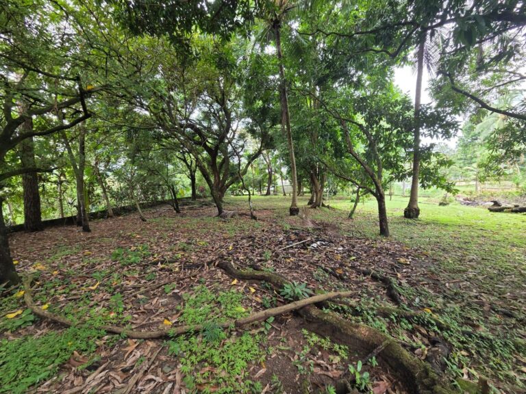 Terreno en Venta en Chepo Panamá Panamá | $200,000 | MLS# 23879