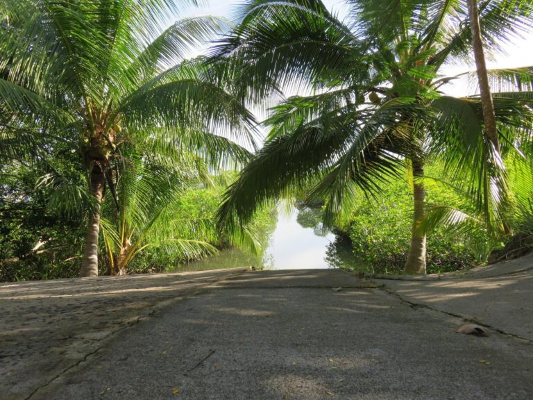 Finca en Venta en Boca Chica Chiriqui Panamá | $449,000 | MLS# 23882