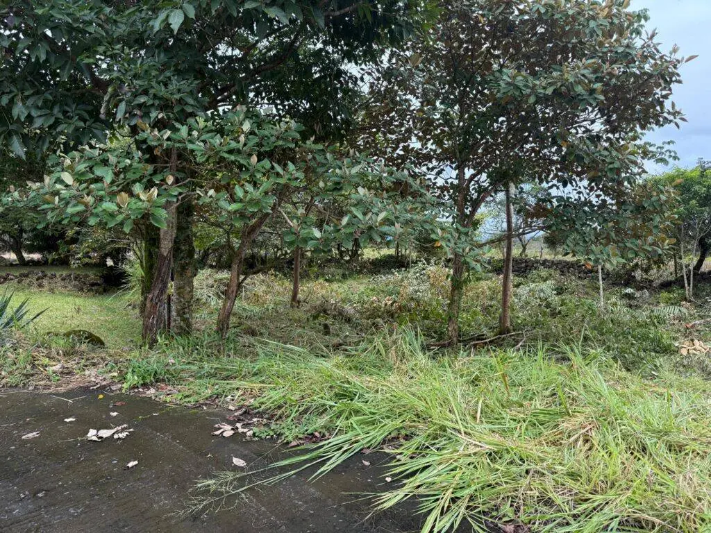 Terreno en Venta en Alto Boquete Chiriqui Panamá | $39,900 | MLS# 24002