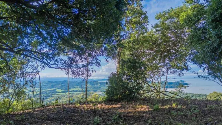 Terreno en Venta en Llano del Catival o mariato Veraguas Panamá | $370,000 | MLS# 24042