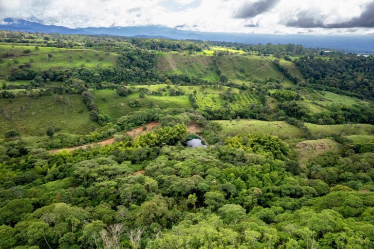 Terreno en Venta en Rovira Chiriqui Panamá | $572,292 | MLS# 24047