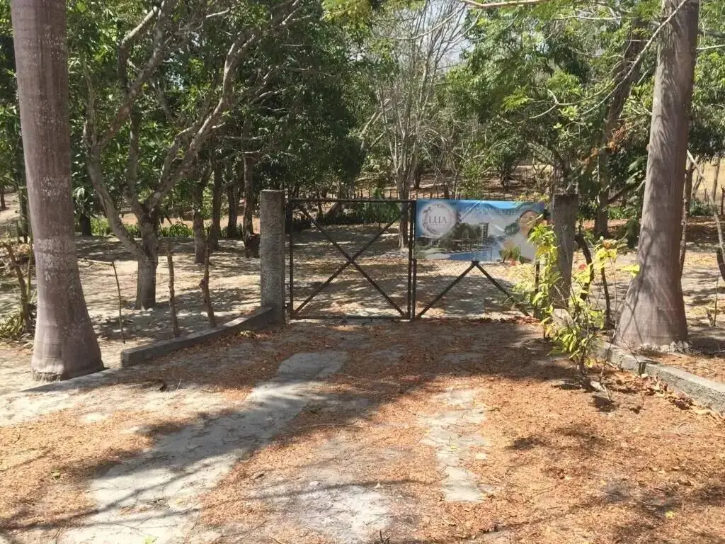 Terreno en Venta en San Carlos Panamá Oeste Panamá | $1,150,000 | MLS# 24066