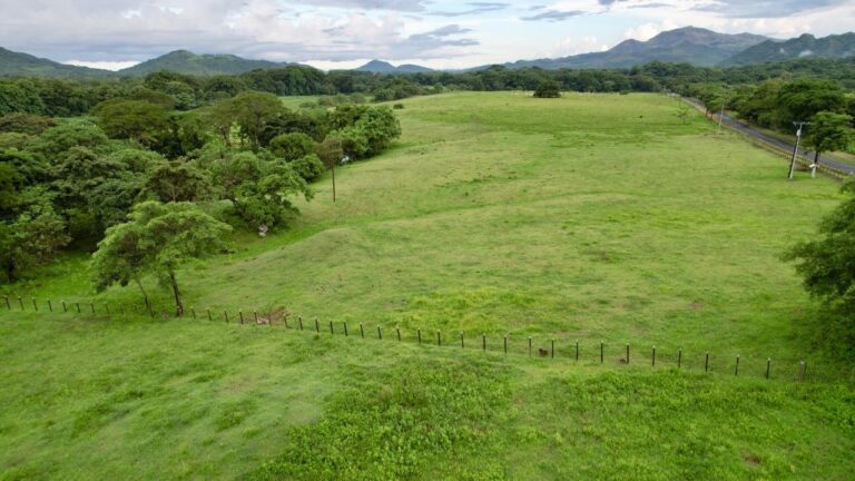 Finca en Venta en La Pintada Coclé Panamá | $1,400,000 | MLS# 24091