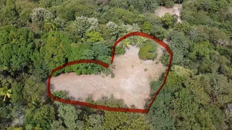 Finca en Venta en El Espino Panamá Oeste Panamá | $400,000 | MLS# 24130