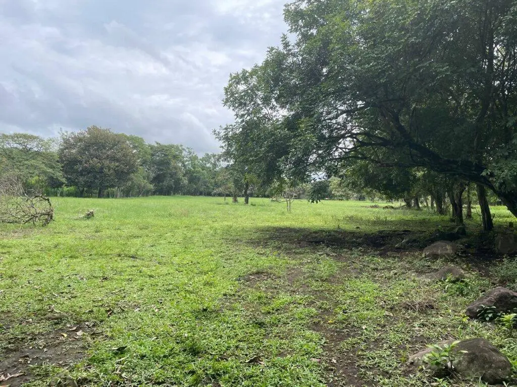 Finca en Venta en Dolega Chiriqui Panamá | $350,000 | MLS# 24194