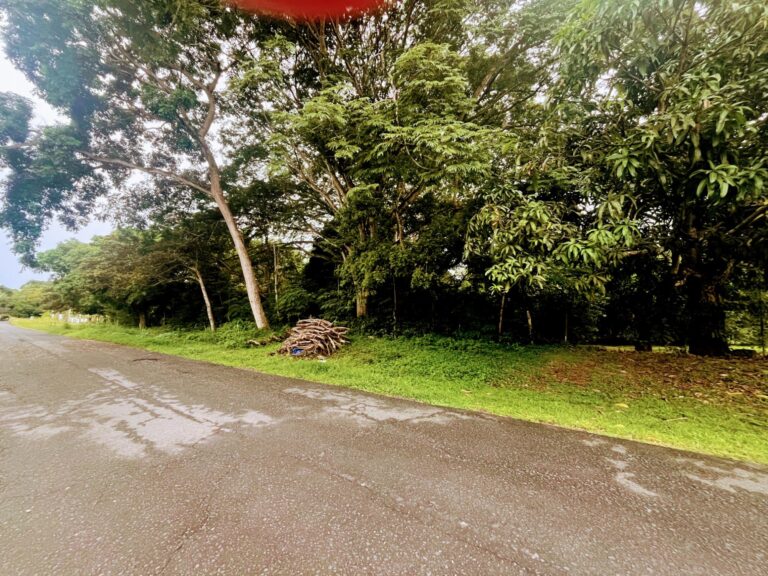 Finca en Venta en Anton Coclé Panamá | $545,000 | MLS# 24211