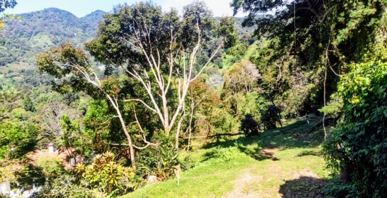 Terreno en Venta en Los Naranjos Chiriqui Panamá | $175,000 | MLS# 24216