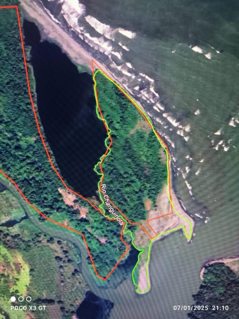 Finca en Venta en Changuinola Bocas del Toro Panamá | $2,200,000 | MLS# 24231