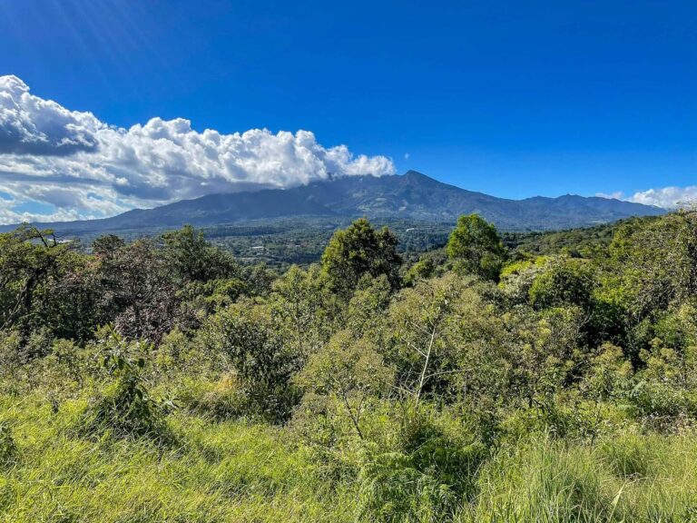 Terreno en Venta en Jaramillo Chiriqui Panamá | $139,000 | MLS# 24260