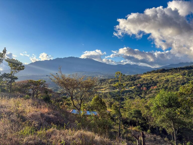Terreno en Venta en Jaramillo Chiriqui Panamá | $330,000 | MLS# 24266