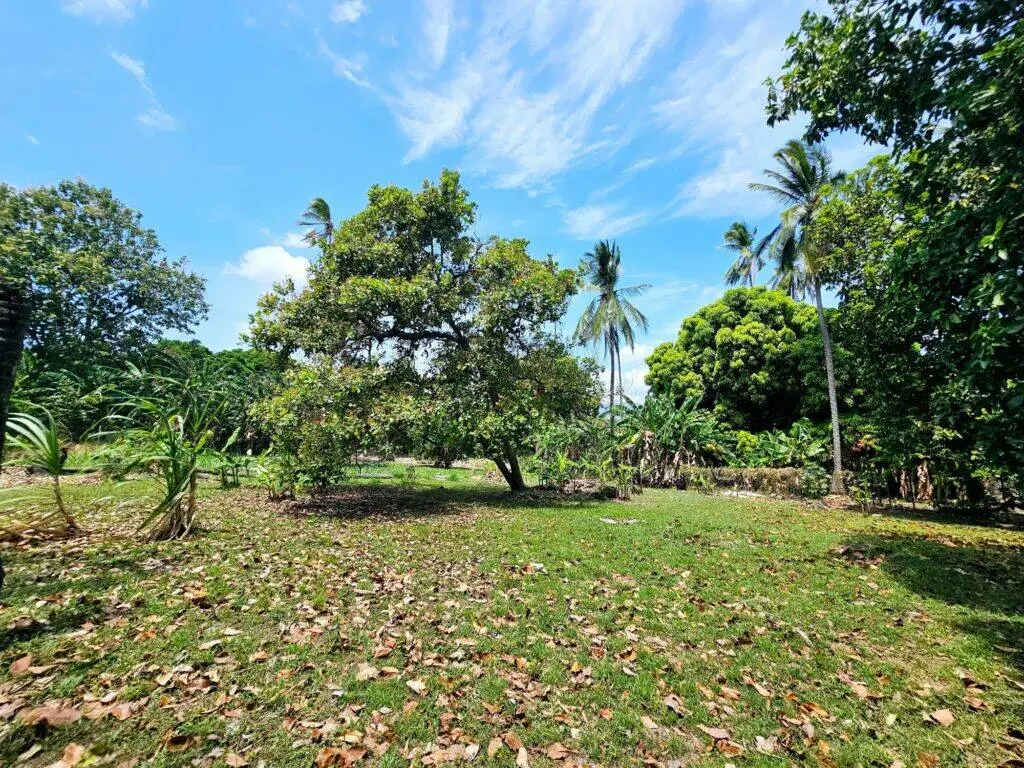 en Venta en Chame Panamá Oeste Panamá | $172,000 | MLS# 24291