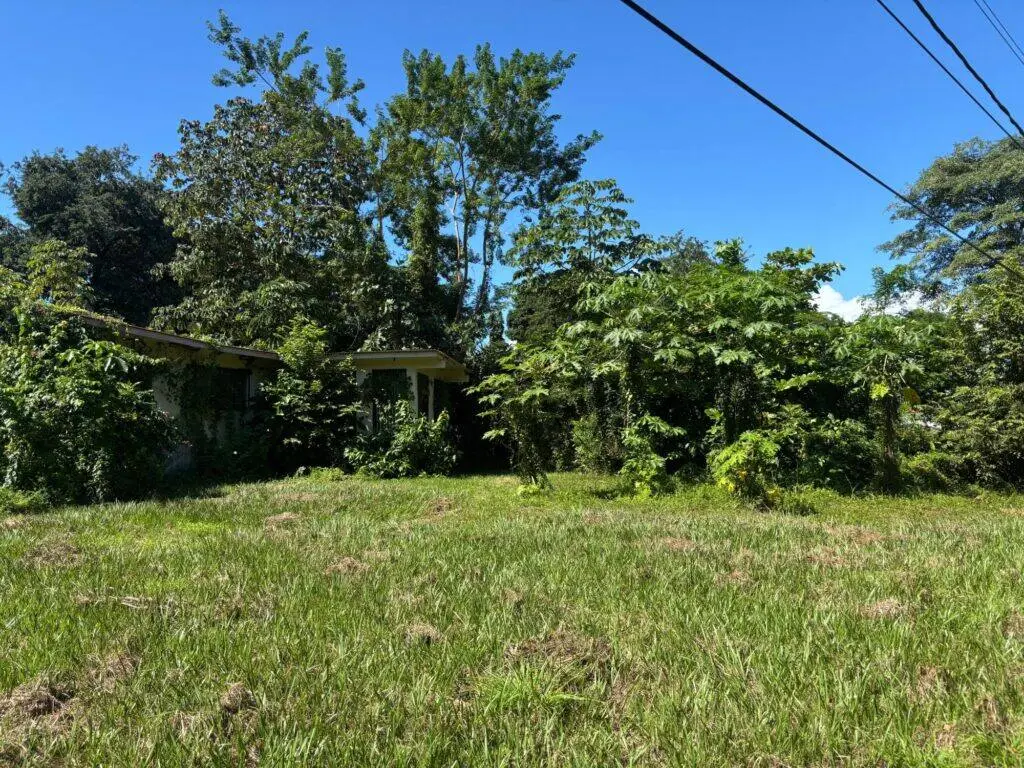 Terreno en Venta en Nueva Gorgona Panamá Oeste Panamá | $302,487 | MLS# 24299