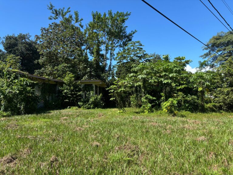 Terreno en Venta en Nueva Gorgona Panamá Oeste Panamá | $302,487 | MLS# 24299