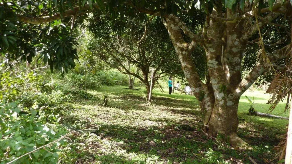 Terreno en Venta en La Laguna Panamá Oeste Panamá | $199,000 | MLS# 24340